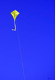 Amir wins the kite race