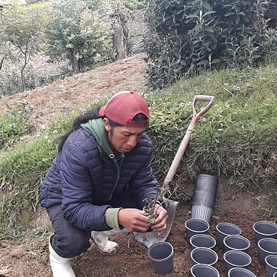 Timeline: Preparacion de materiales