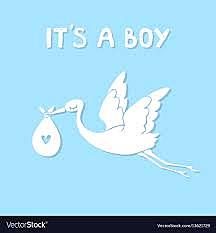 Hassan and Amir are born