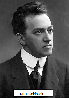 Kurt Goldstein (1876-1965) máximo representante de la Neuropsicología porque realizó importantes aportaciones a la Neuropsicología clínica
