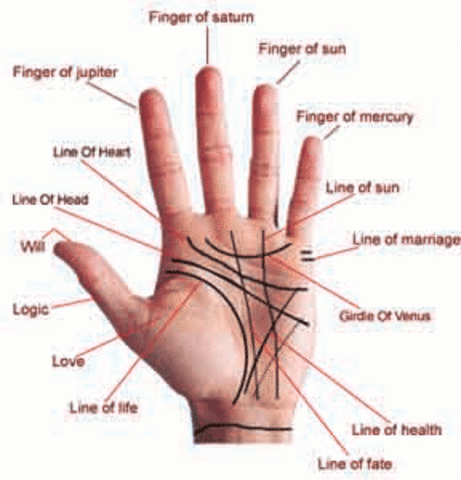 book of palmistry