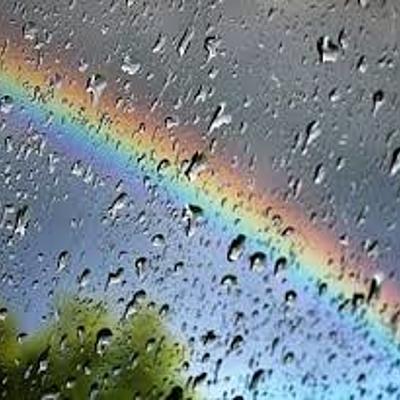 Timeline: Línea del tiempo- Novela: "Se recomienda buscar refugio en días lluviosos"