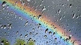 Timeline: Línea del tiempo- Novela: "Se recomienda buscar refugio en días lluviosos"