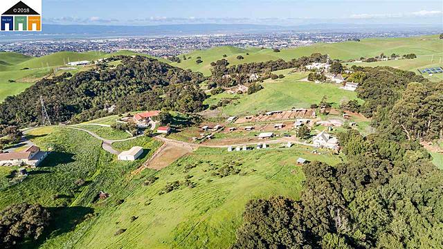 Amir and Baba move to America