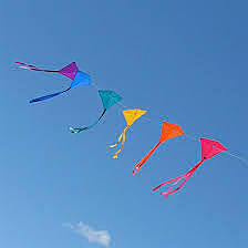 Sohrab learns to kite fight