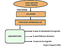 Evaluación Cualitativa