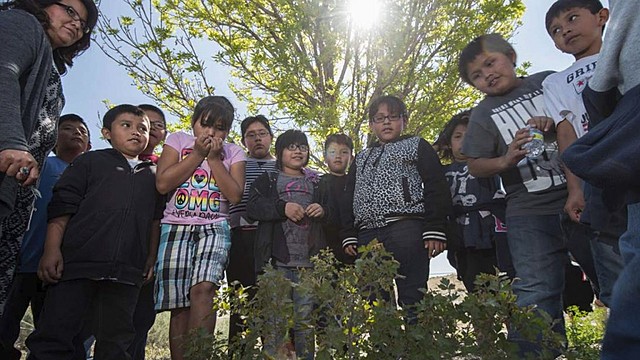 Iniciativa de la UNAM "Terramóvil".