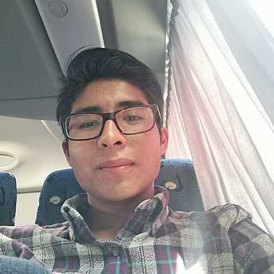 Timeline: MI LINEA DEL TIEMPO LUIS MANUEL HILARIO LUNA