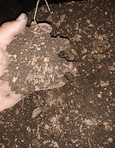 Preparación de la tierra