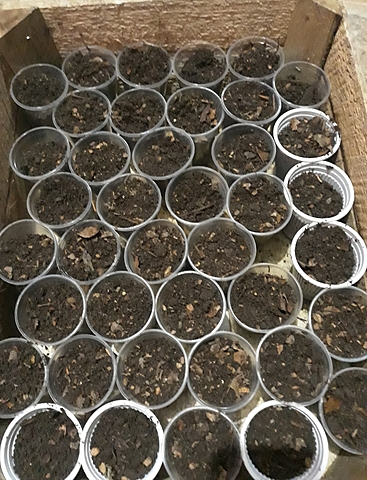 Llenado de la tierra