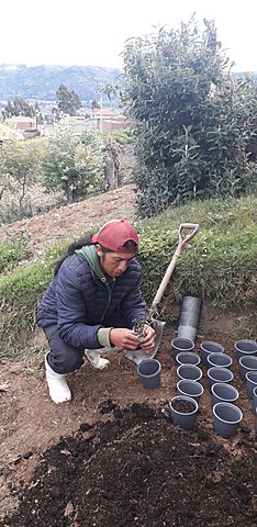 Culminacion del proceso de esqueje