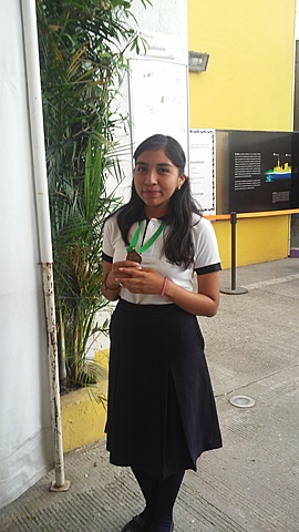 Medalla de Bronce en OMRI (Informática)