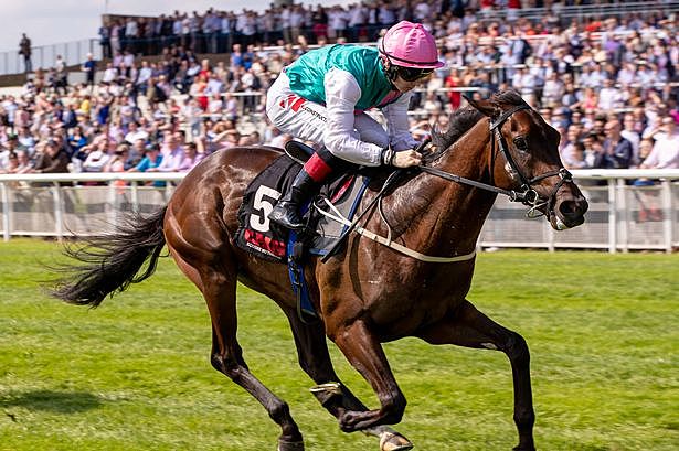George Karlis, Leisure and recreation in Canadian society.