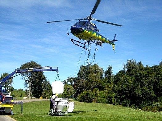 Taranga (Hen) Island restoration project - The purpose of this project was for native species on the island to increase in population and for the ecosystem to repair after being damaged by kiore.