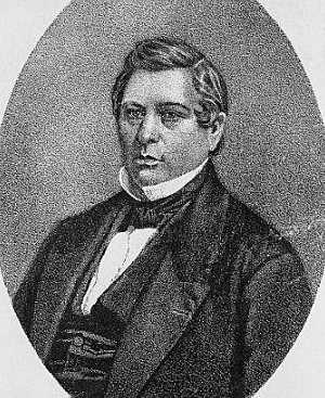 Wilmot Proviso (economical and social - green)