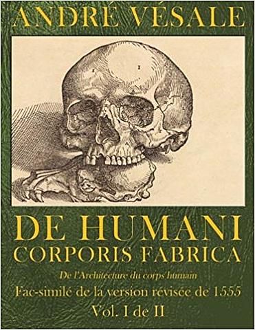 De humani corporis fabrica