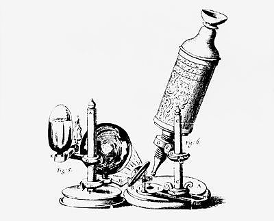 Rennaisance(Invention of the Microscope)