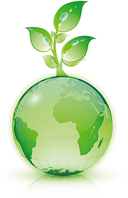 se acuñe el concepto de okologie