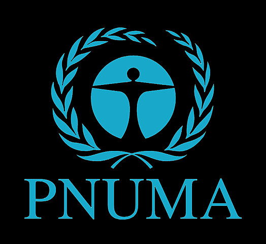 PNUMA