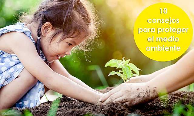 Conferencia de las Naciones Unidas sobre Medio humano (Estocolmo, Suecia)