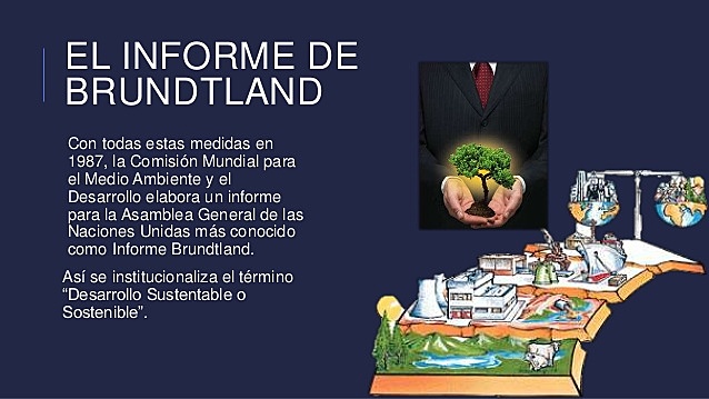 informe de la comisión mundial sobre el medio ambiente y desarrollo