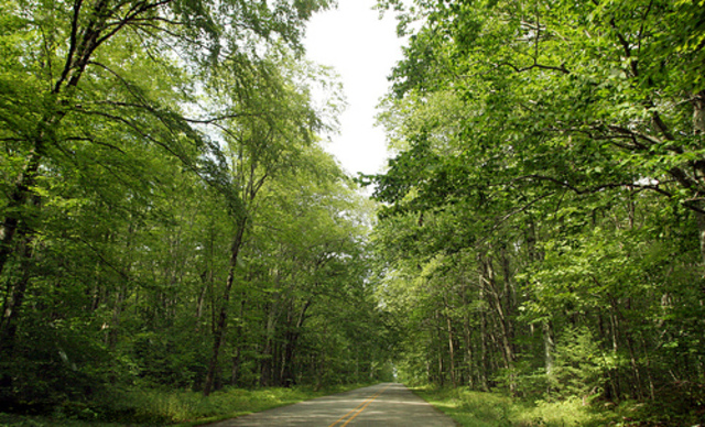 Student Teaching in Rock Michigan