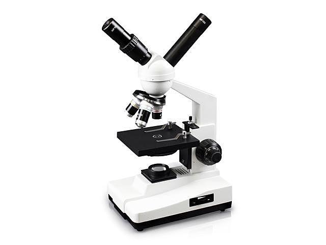 Brightfield Microscopy: Modern-day Tech!