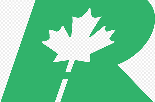 Reform party created