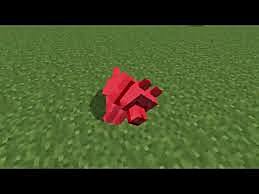 nos pos me quede mas tieso que pata de perro envenenado