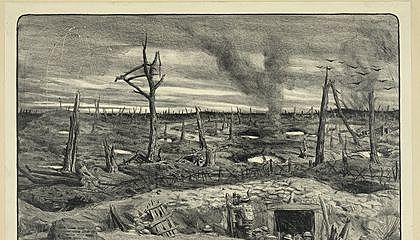 WW1 Causalty Statistics