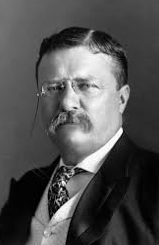 Progressive Presidents