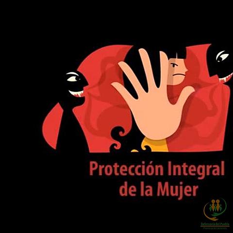 Ley de protección integral a las mujeres
