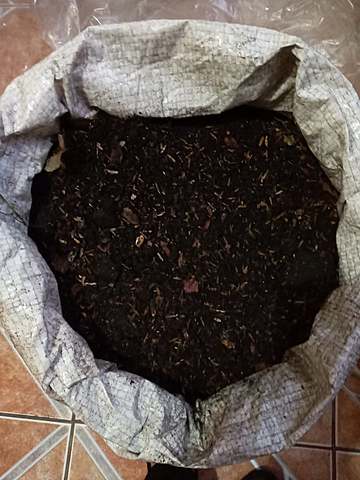 Preparación de la tierra