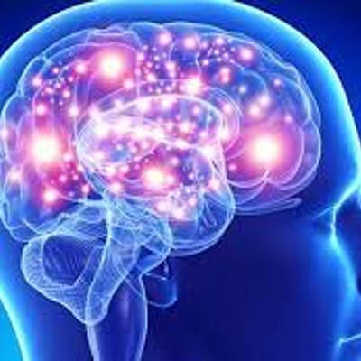 Timeline: La neuropsicología en el tiempo