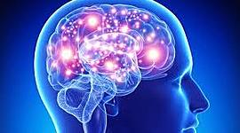 Timeline: La neuropsicología en el tiempo