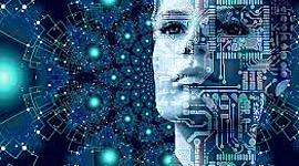 Timeline: EVOLUCIÓN CONCEPTO DE RED.