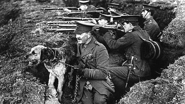 Animals during WWI