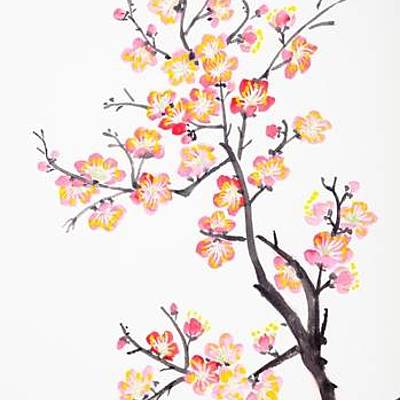 Timeline: Evolución del reciclaje