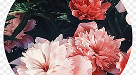 Timeline: Entregable 2.1