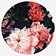 69 695947 circle flower circulo png tumblr colors crculo ayym