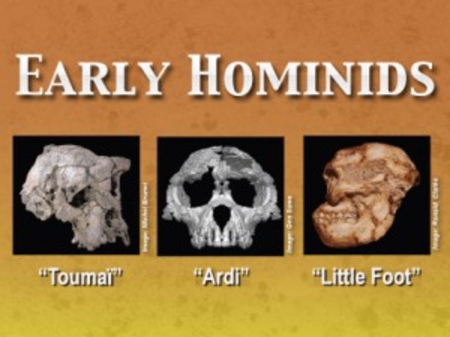 5.2 Million Years Ago: Hominids