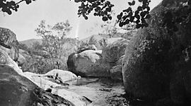 Timeline: Donadilles, Roures et Torres