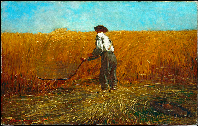 The Veteran in a New Field