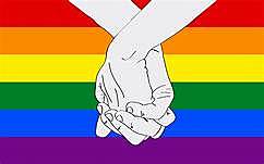 APROBACION MATRIMONIO IGUALITARIO