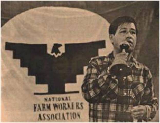 UFW’s Nationwide Boycott of grapes picked on nonunion farms