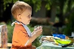 Desarrollo de su aparato renal