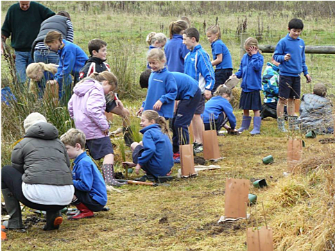 Silverstream Reserve Conservation