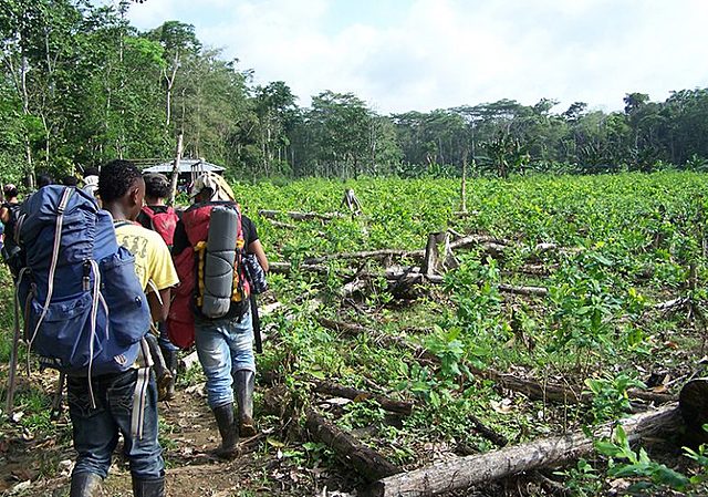 Ley 70 desarrolla el Art. trasn 55 de la constitución política