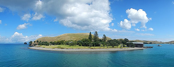 Great Mercury Island Pest Free