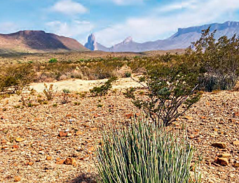 L’Oréal Mexico builds momentum on sustainability